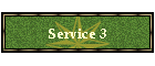 Service 3